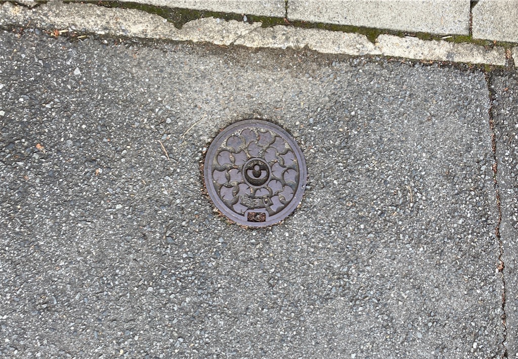 f:id:hamiru0818:20250219003656j:image