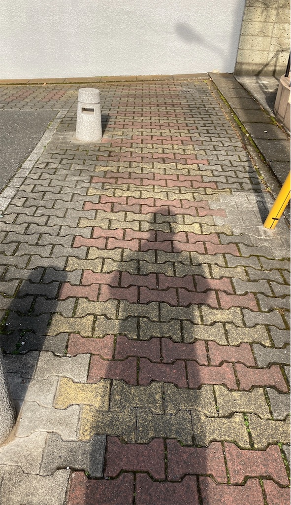 f:id:hamiru0818:20250219003723j:image