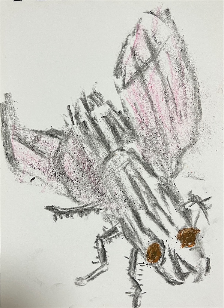 f:id:hamiru0818:20250219003748j:image