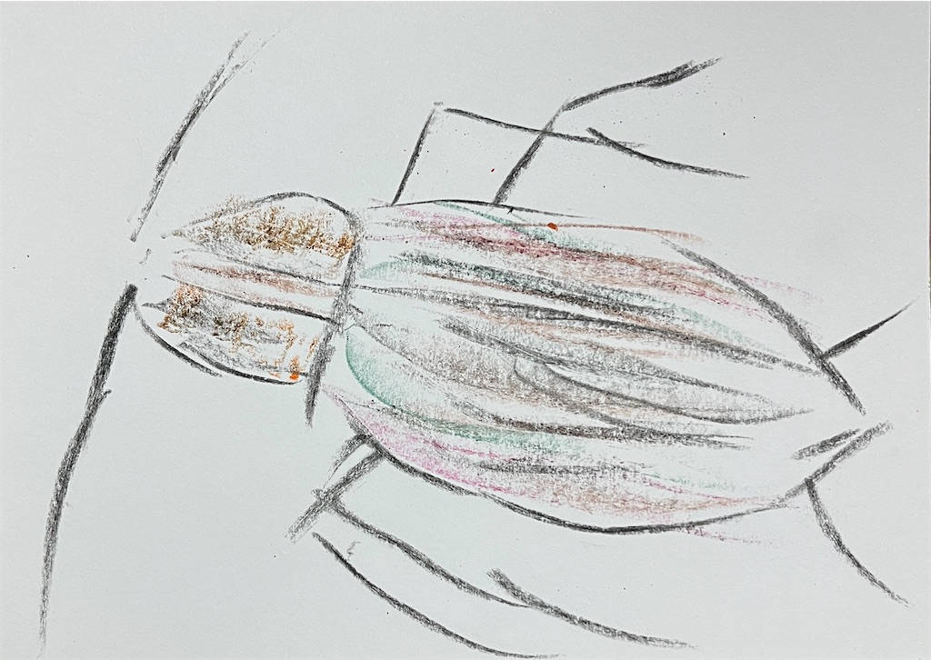 f:id:hamiru0818:20250219003807j:image