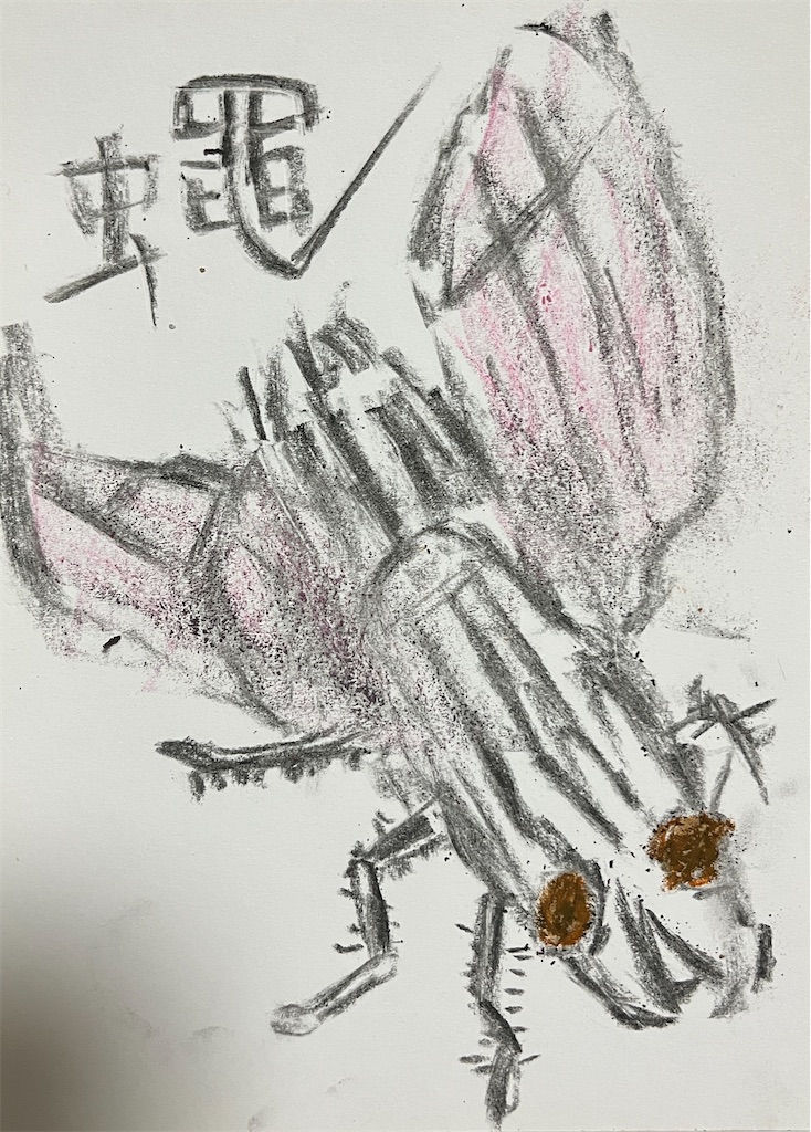 f:id:hamiru0818:20250221033520j:image f:id:hamiru0818:20250221033520j:image