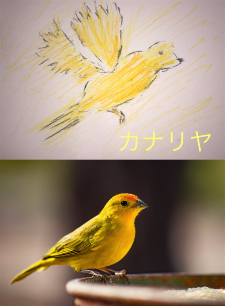 f:id:hamiru0818:20250412103151j:image