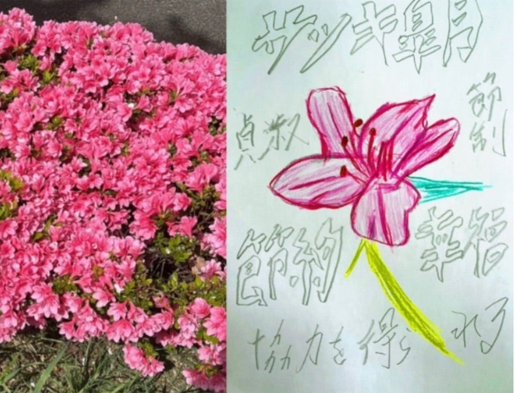 f:id:hamiru0818:20250422130138j:image f:id:hamiru0818:20250422130138j:image