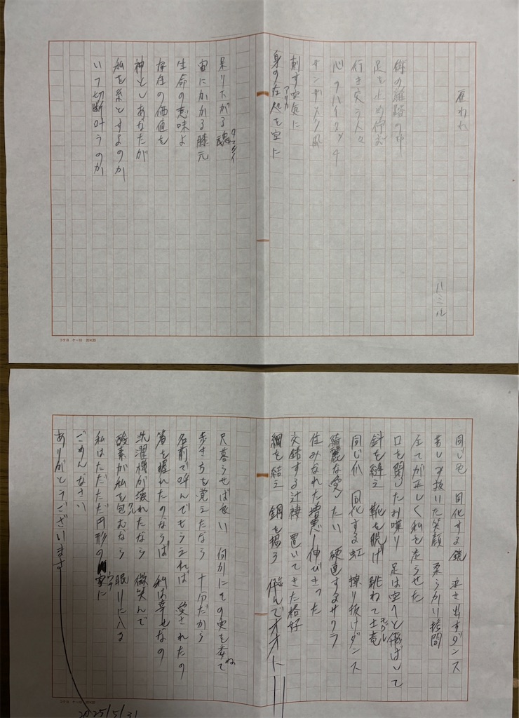 f:id:hamiru0818:20250609012332j:image