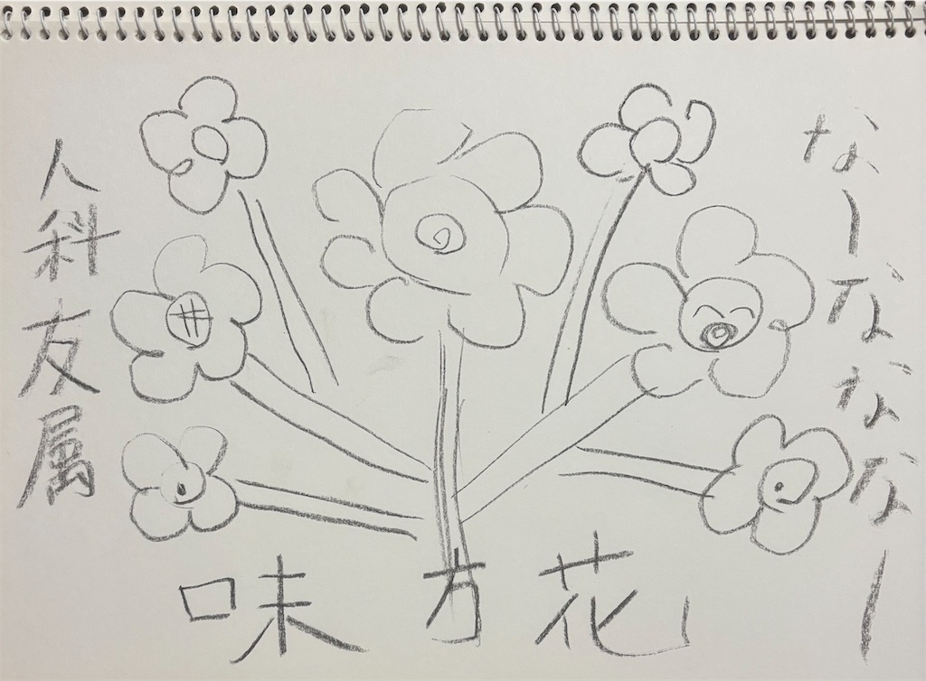 f:id:hamiru0818:20250814031304j:image