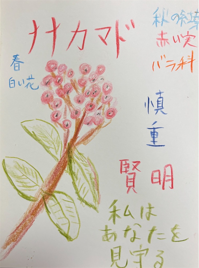 f:id:hamiru0818:20251113020820j:image