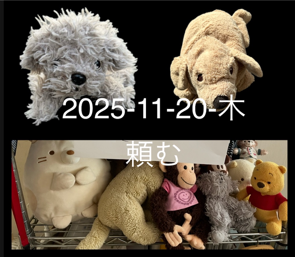f:id:hamiru0818:20251120005949j:image