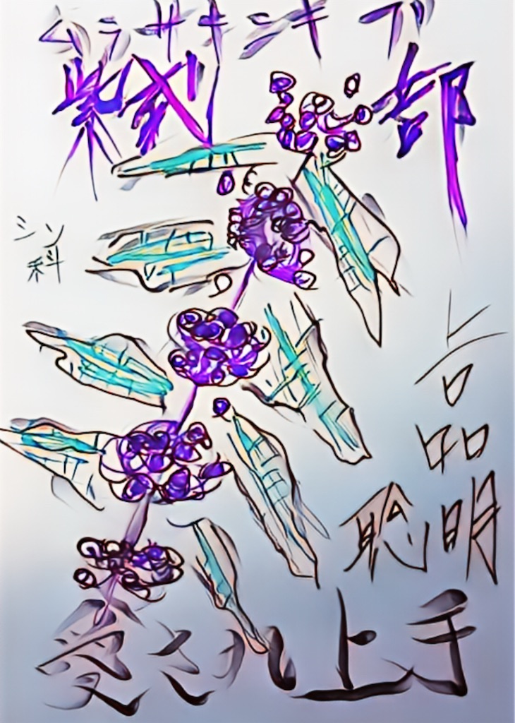 f:id:hamiru0818:20251121015737j:image