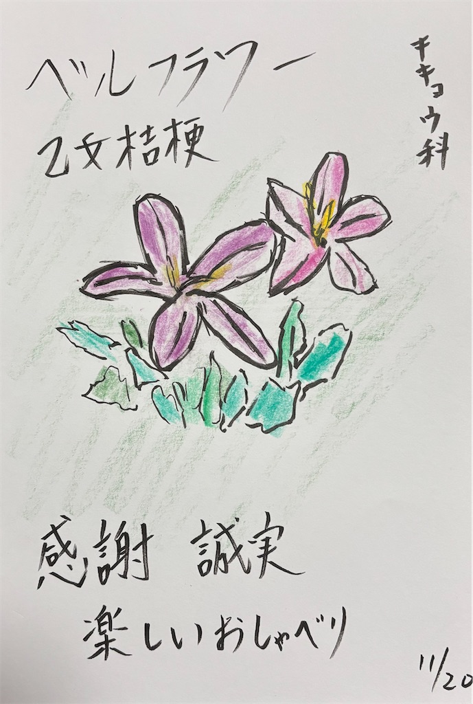 f:id:hamiru0818:20251121015741j:image