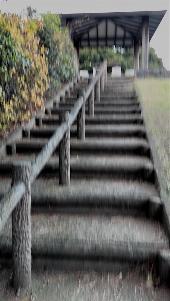 f:id:hamiru0818:20251121015747j:image
