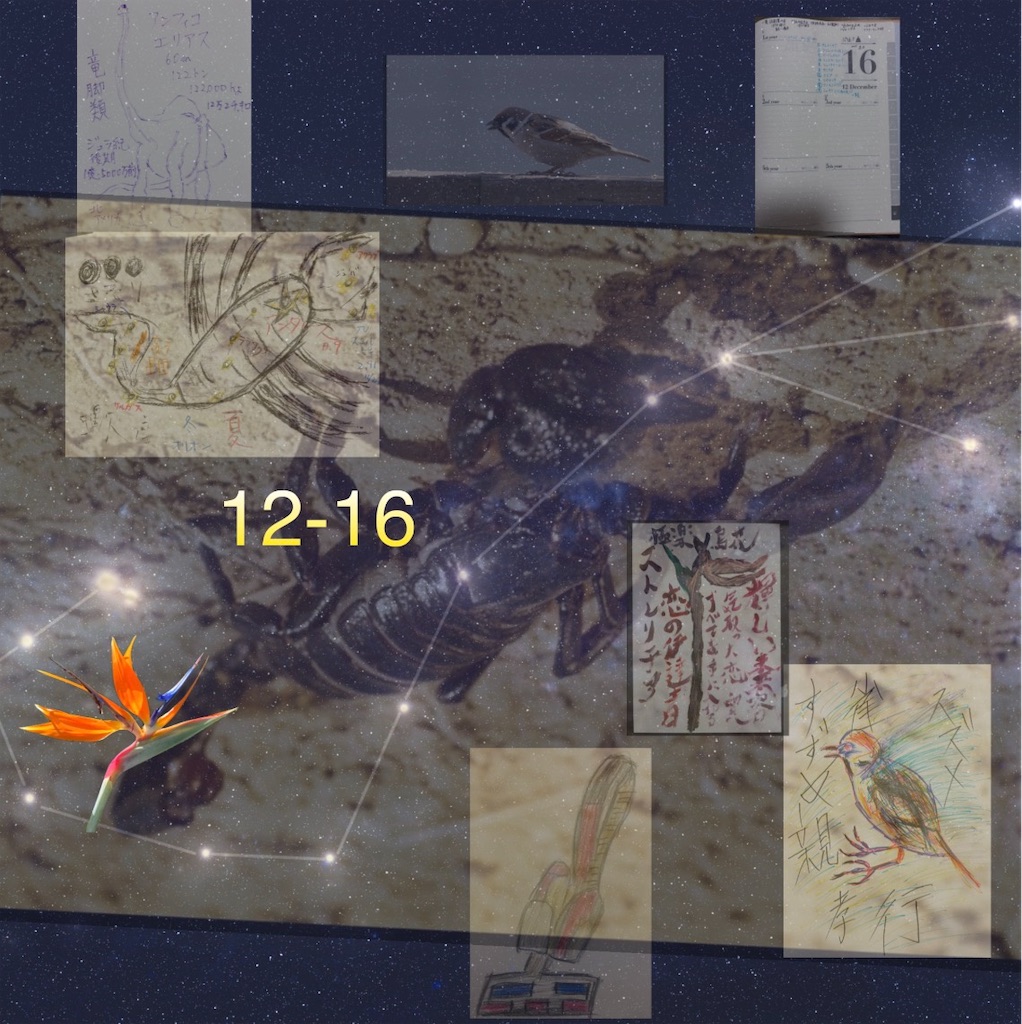 f:id:hamiru0818:20251216003336j:image
