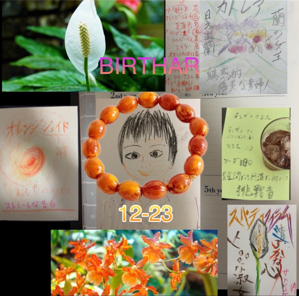 f:id:hamiru0818:20251223003942j:image