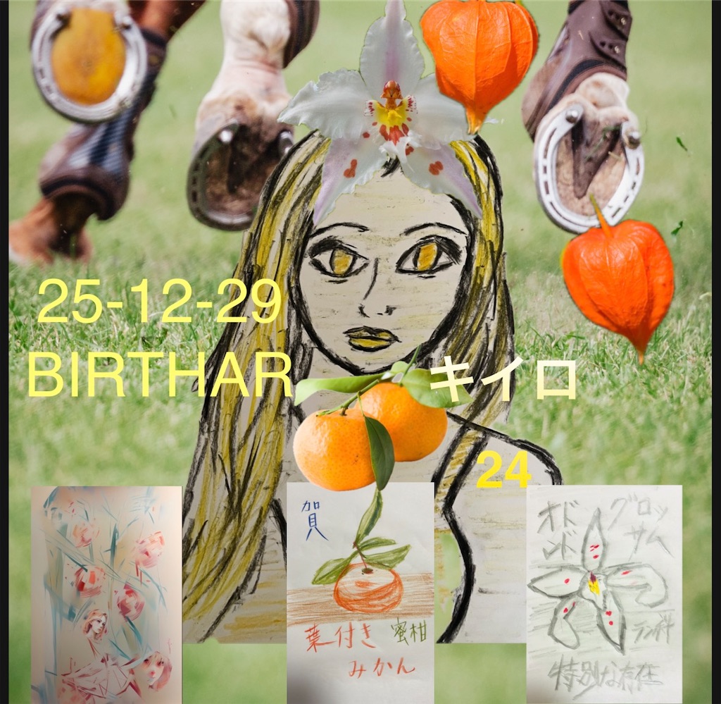 f:id:hamiru0818:20251229002435j:image