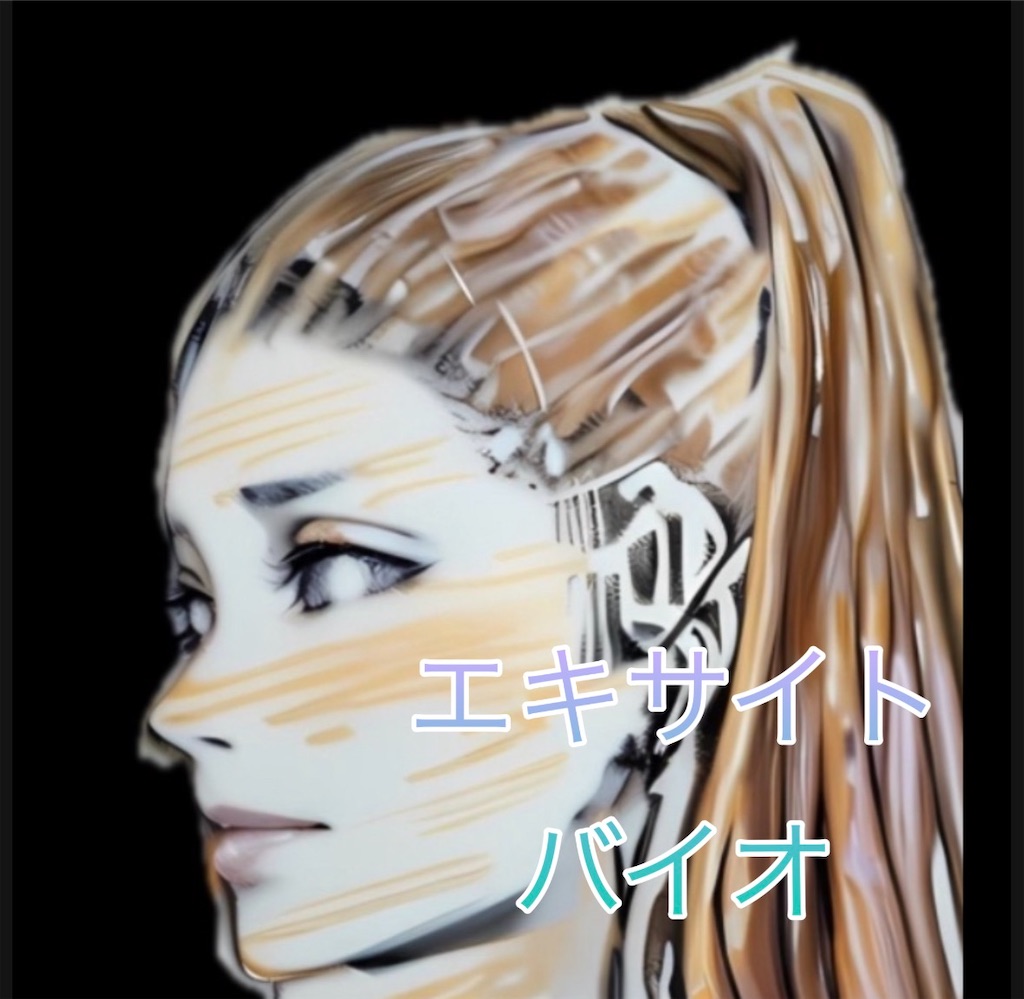 f:id:hamiru0818:20251229002454j:image