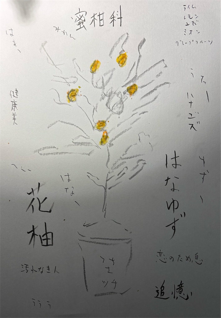 f:id:hamiru0818:20251231002231j:image