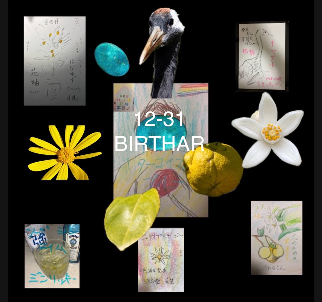 f:id:hamiru0818:20251231002244j:image