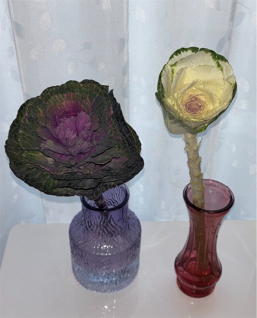 f:id:hamiru0818:20251231002326j:image