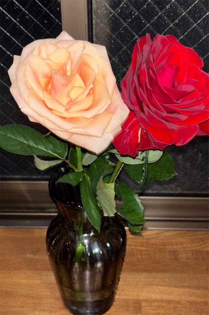 f:id:hamiru0818:20251231002329j:image