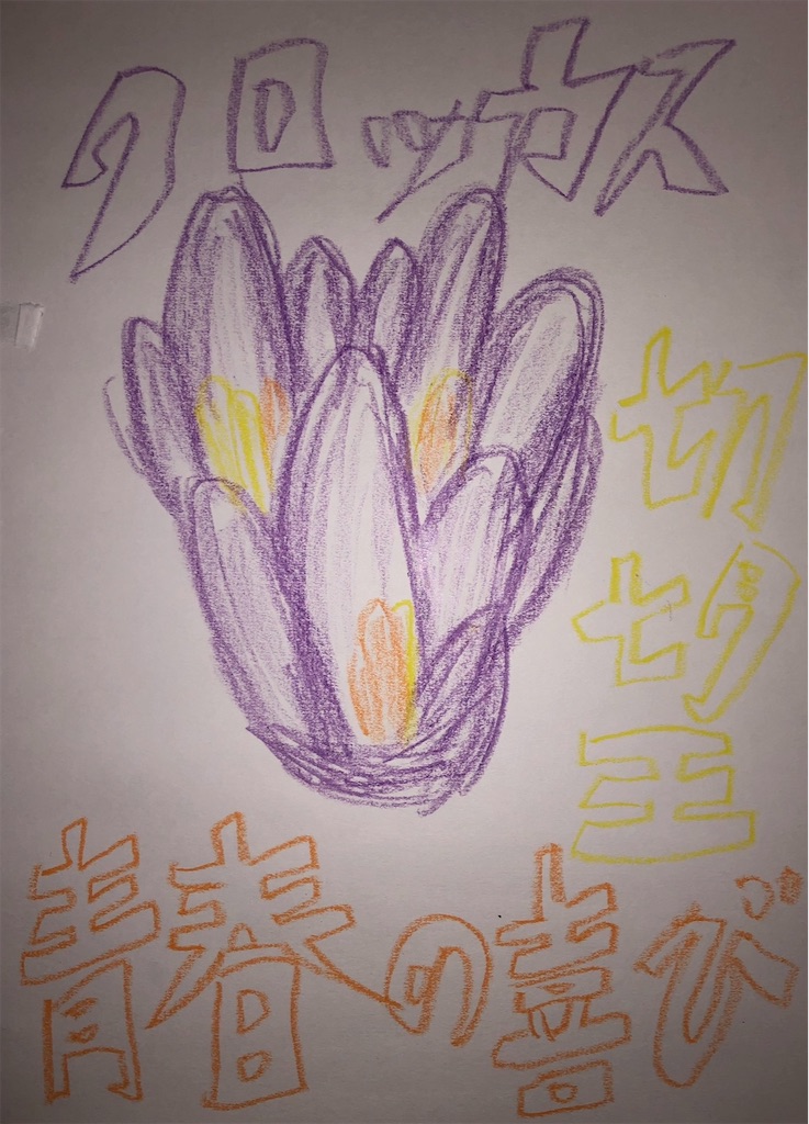 f:id:hamiru0818:20260105052349j:image
