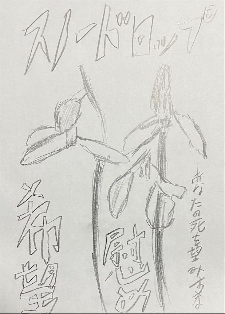 f:id:hamiru0818:20260202001938j:image