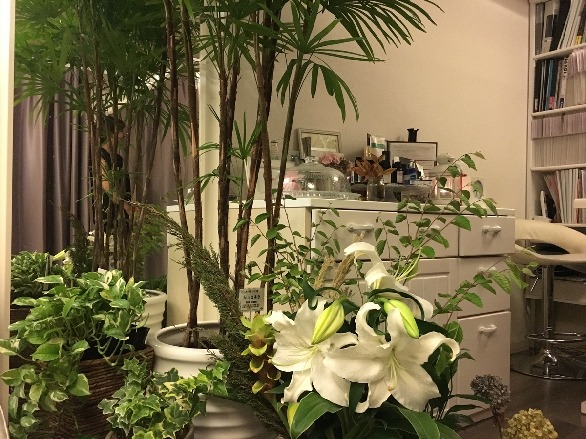 f:id:hamisama:20190818212225j:plain f:id:hamisama:20190818212225j:plain