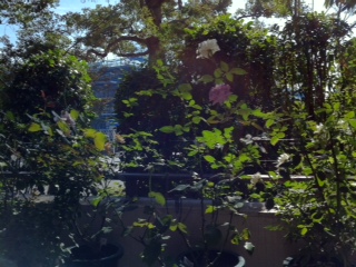 f:id:hamkitchen:20121008091123j:image