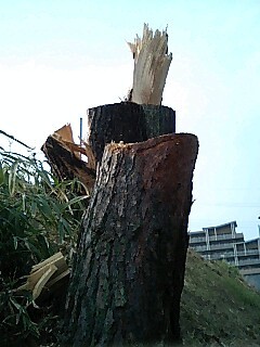 f:id:hamlet-r:20080405162232j:image f:id:hamlet-r:20080405162232j:image