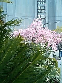 f:id:hamlet-r:20080405163837j:image f:id:hamlet-r:20080405163837j:image