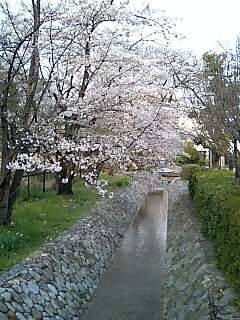 f:id:hamlet-r:20080405164325j:image f:id:hamlet-r:20080405164325j:image