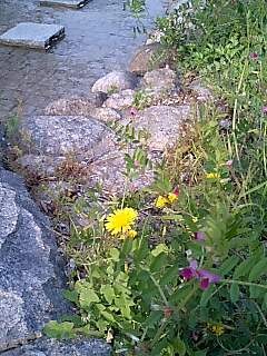 f:id:hamlet-r:20080405164448j:image f:id:hamlet-r:20080405164448j:image