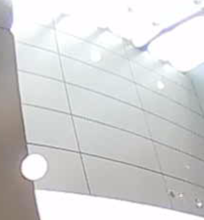 f:id:hammm:20170422225326p:plain:w500