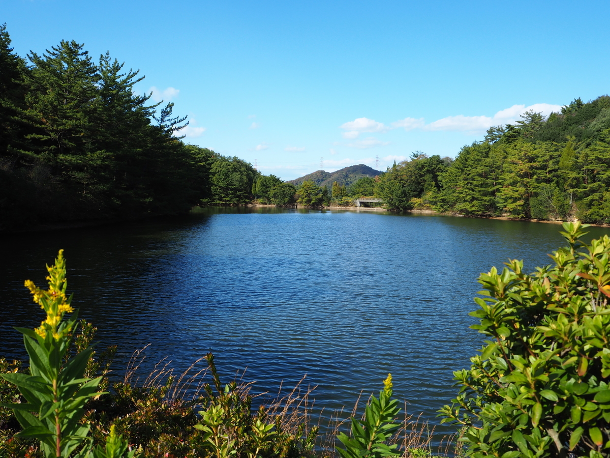 f:id:hamocho:20191201122655j:plain