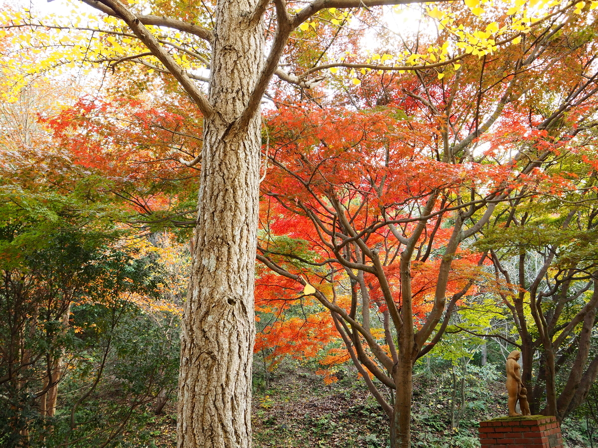 f:id:hamocho:20191201122846j:plain