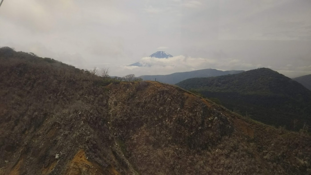 f:id:hampemtarutaru:20180610101836j:plain