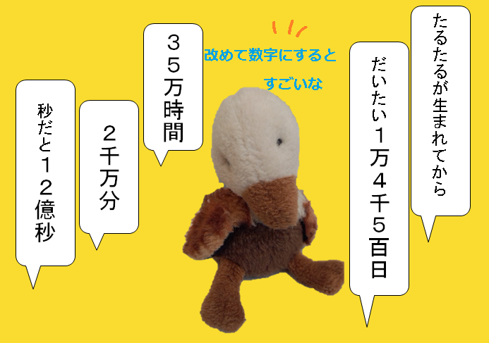 f:id:hampemtarutaru:20180927150259p:plain