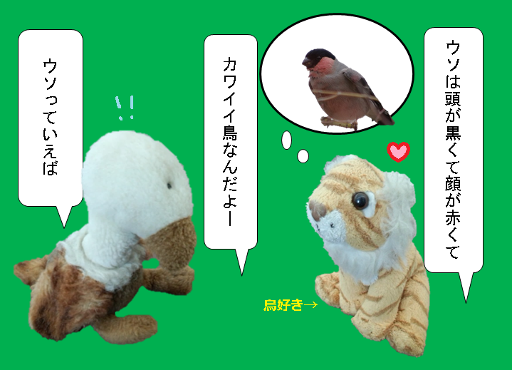 f:id:hampemtarutaru:20181020122300p:plain