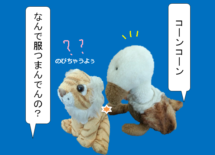 f:id:hampemtarutaru:20181020163517p:plain