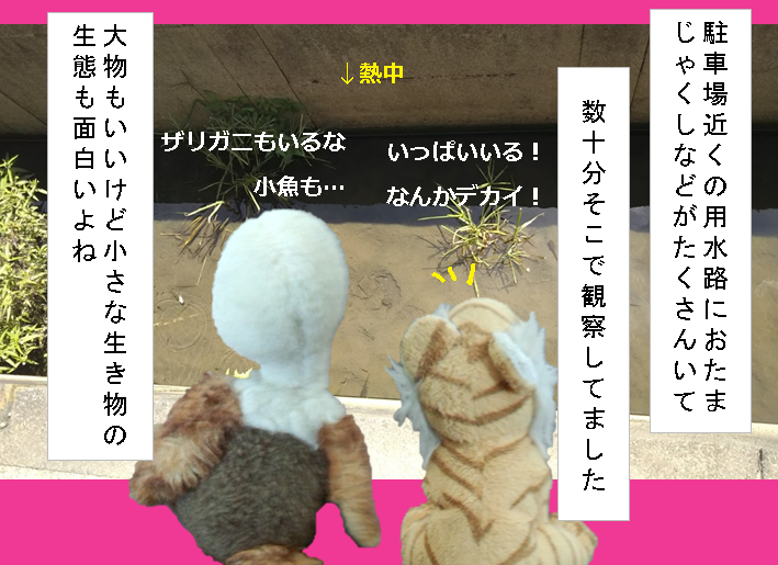 f:id:hampemtarutaru:20181107130409p:plain