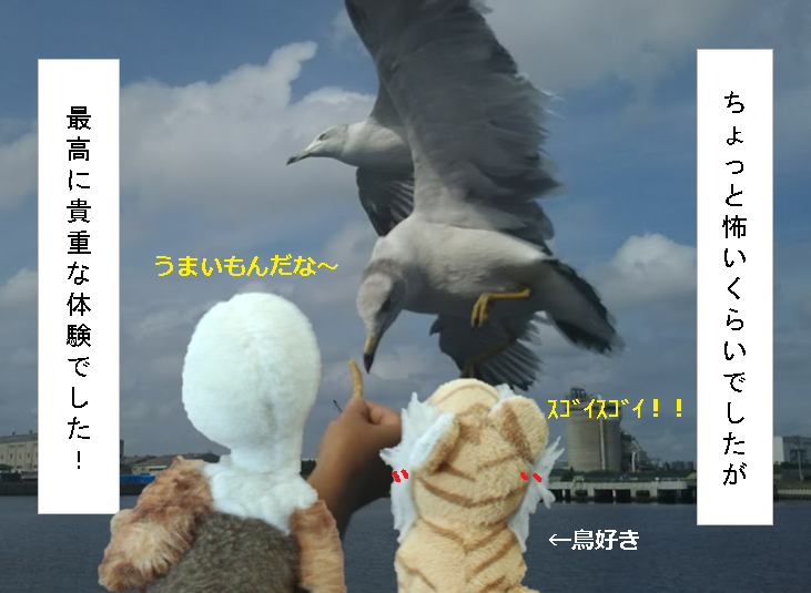 f:id:hampemtarutaru:20181107134150p:plain