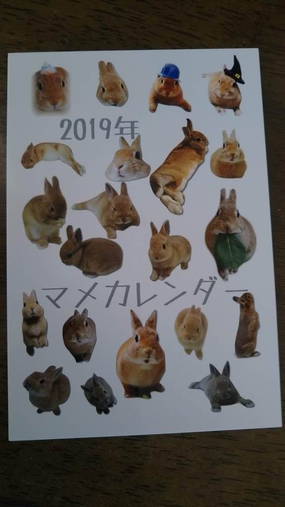 f:id:hampemtarutaru:20190118083907j:plain