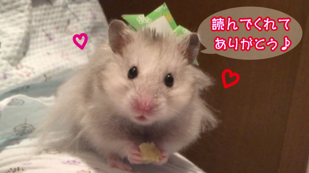 f:id:hamponland:20180510172219j:plain