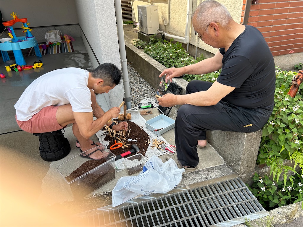 f:id:hamsama:20230801124044j:image