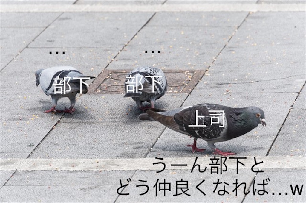 f:id:hamster1125105:20180619090932j:image f:id:hamster1125105:20180619090932j:image