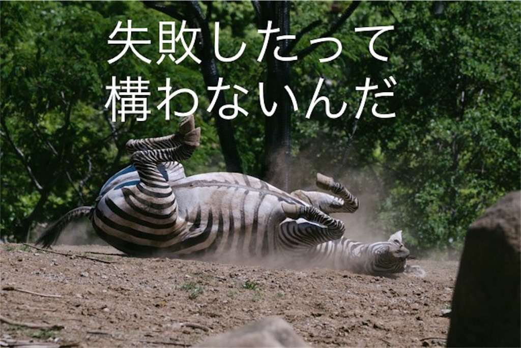 f:id:hamster1125105:20180629123628j:image f:id:hamster1125105:20180629123628j:image