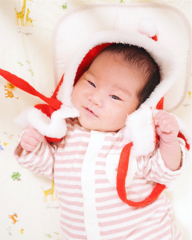 f:id:hamster_nappa:20161231115810j:image