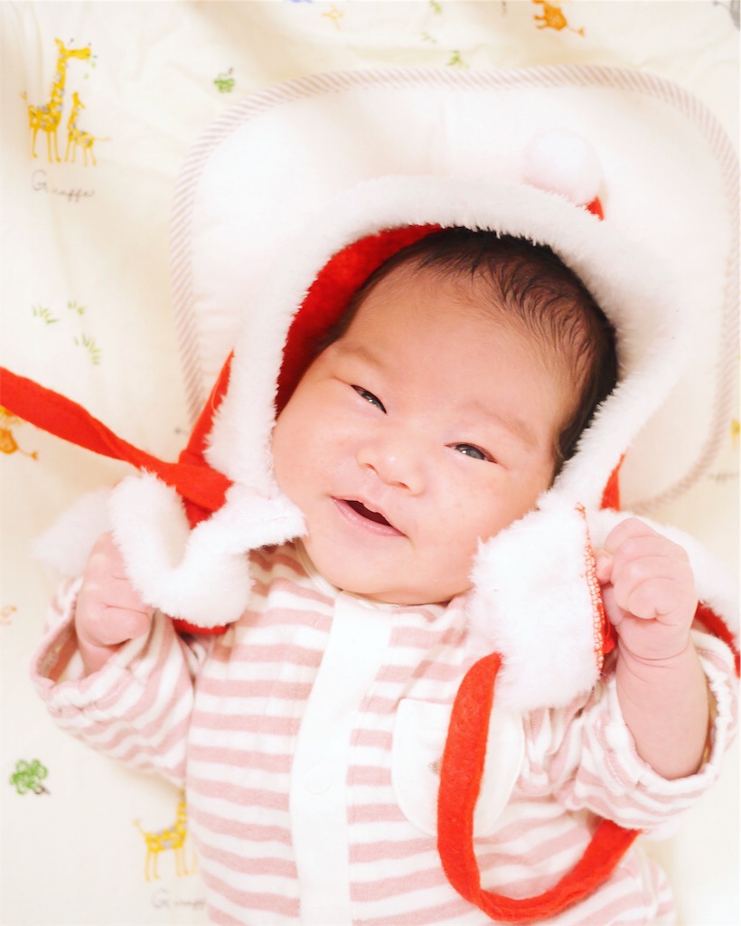 f:id:hamster_nappa:20161231120110j:image