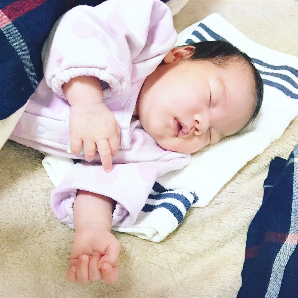 f:id:hamster_nappa:20161231121700j:image