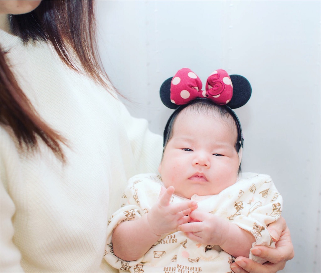 f:id:hamster_nappa:20161231140614j:image