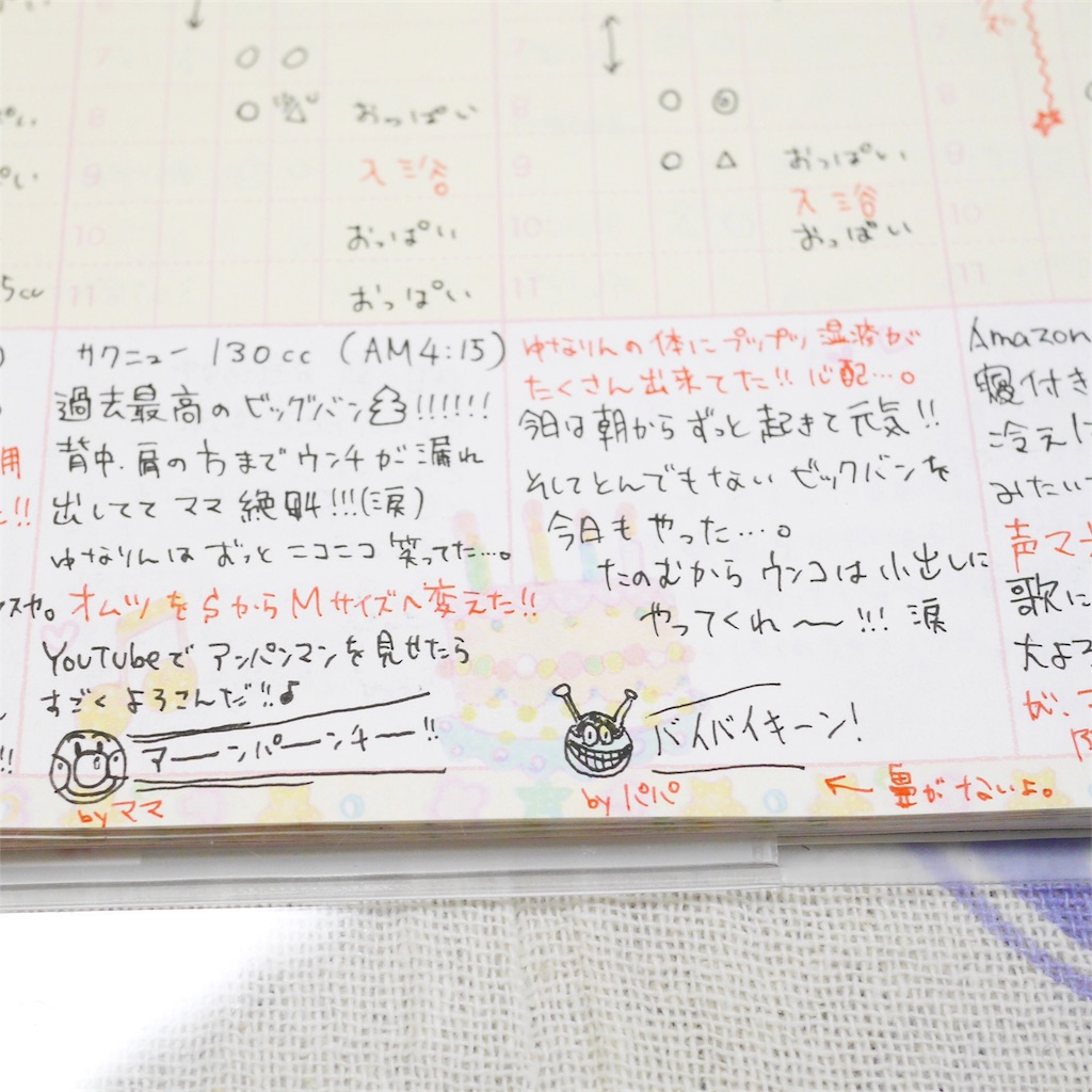 f:id:hamster_nappa:20170124214424j:image