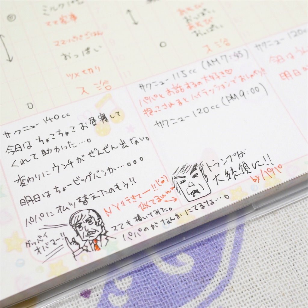 f:id:hamster_nappa:20170124214617j:image